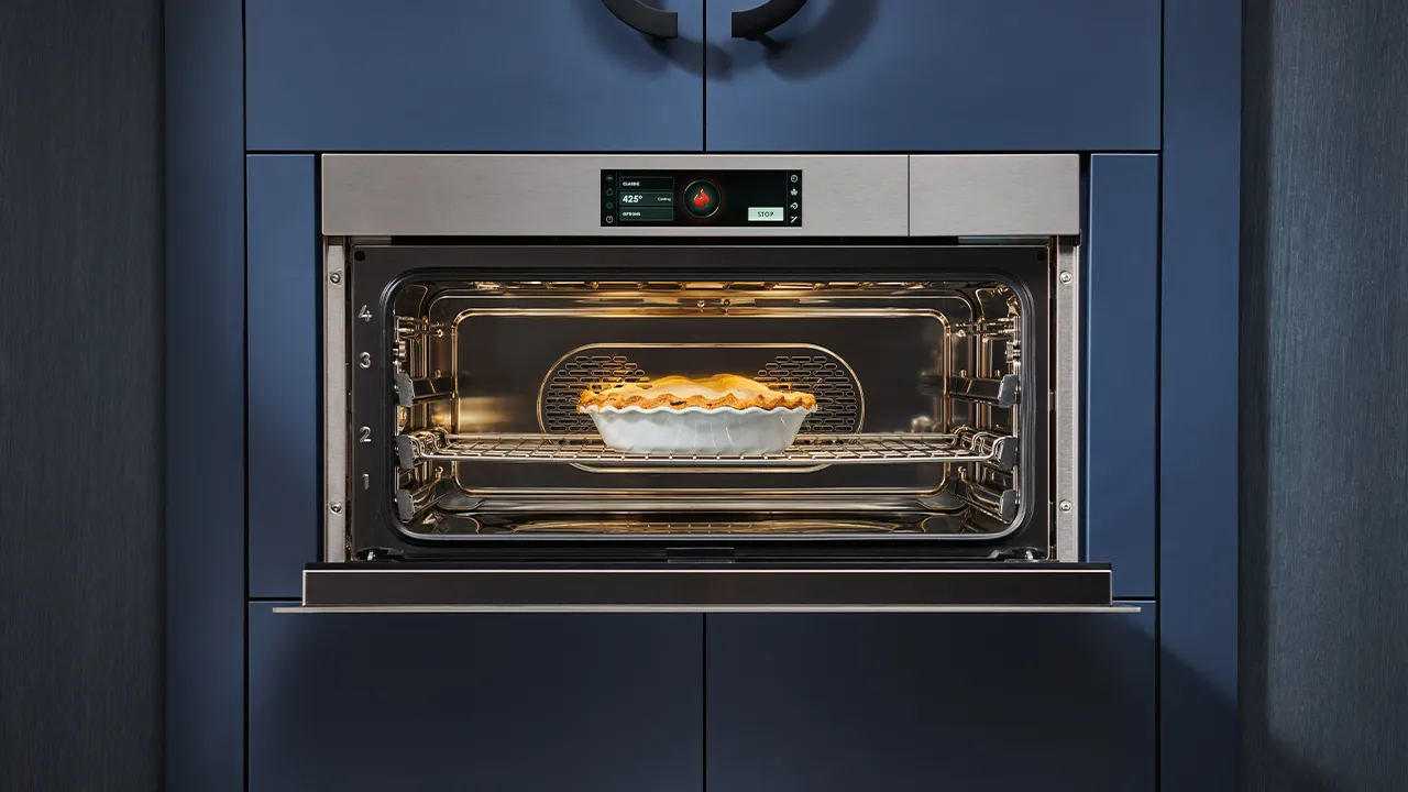 Introduction to Wolf Convection Steam Oven