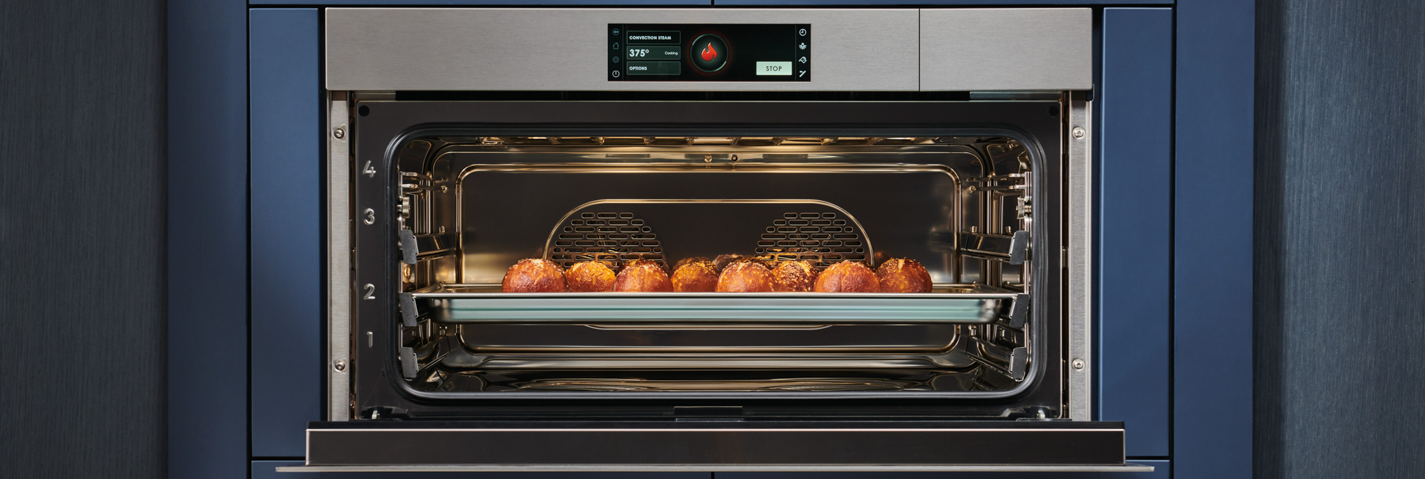 In-Person Ownership Experience: Wolf Convection Steam Oven